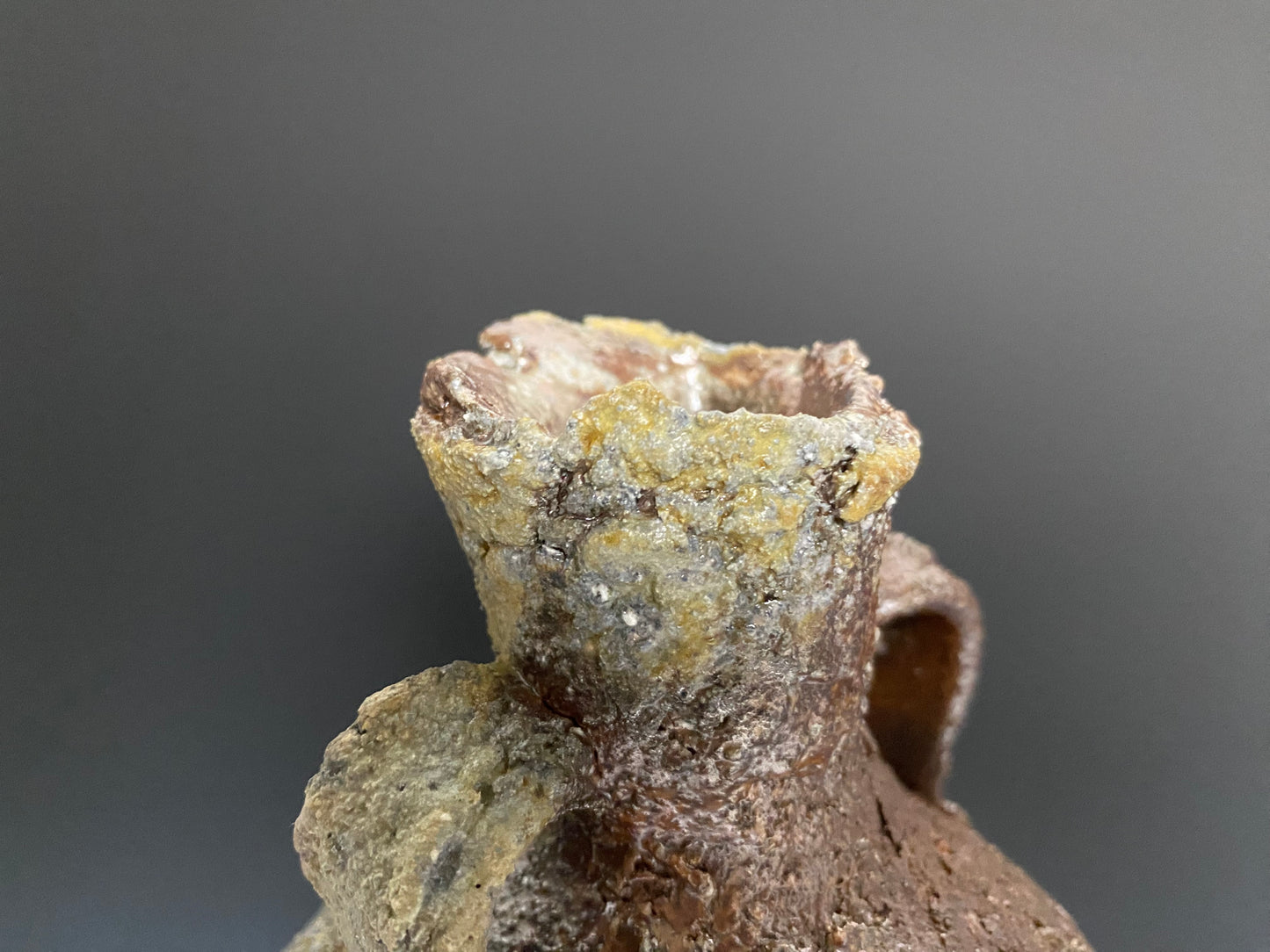 Wood Fired Bottle with Handles
