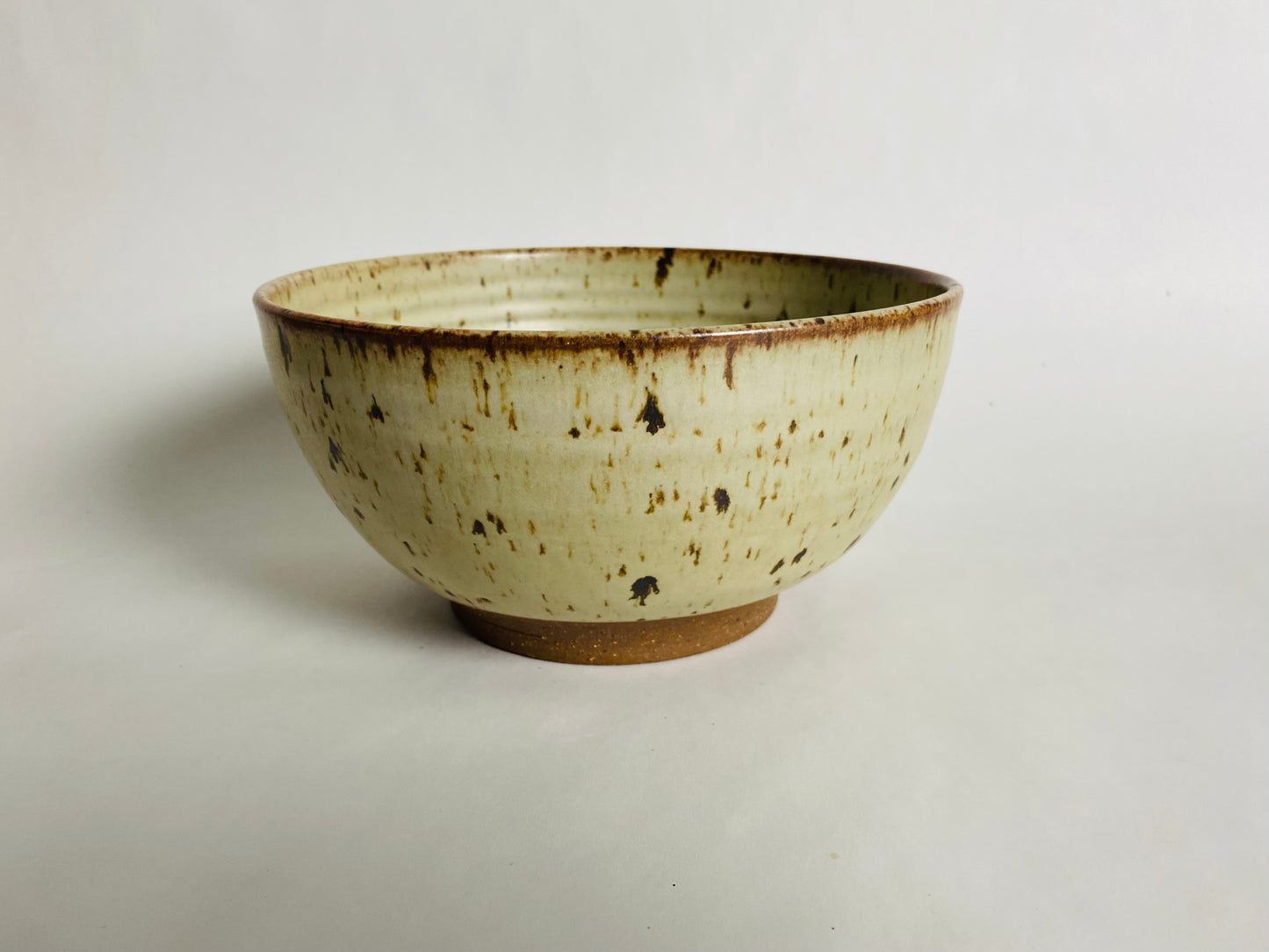 Ramen Bowl with Speckles