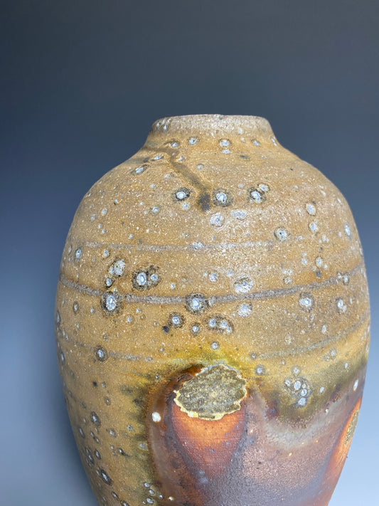 Wood Fired Vase