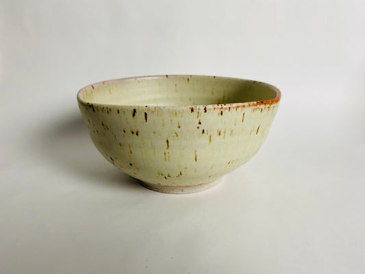 Ramen Bowl Speckled Matte Glaze