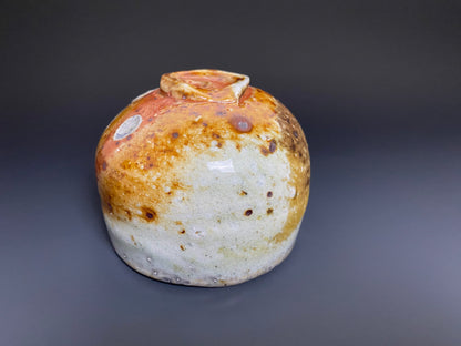 Wood Fired Porcelain Bowl