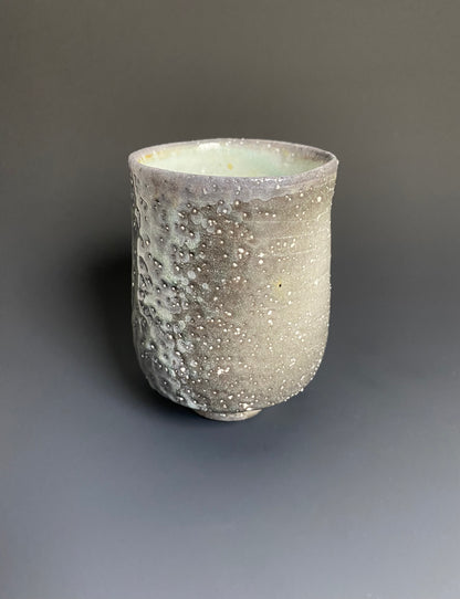 Wood Fired Porcelain Yunomi
